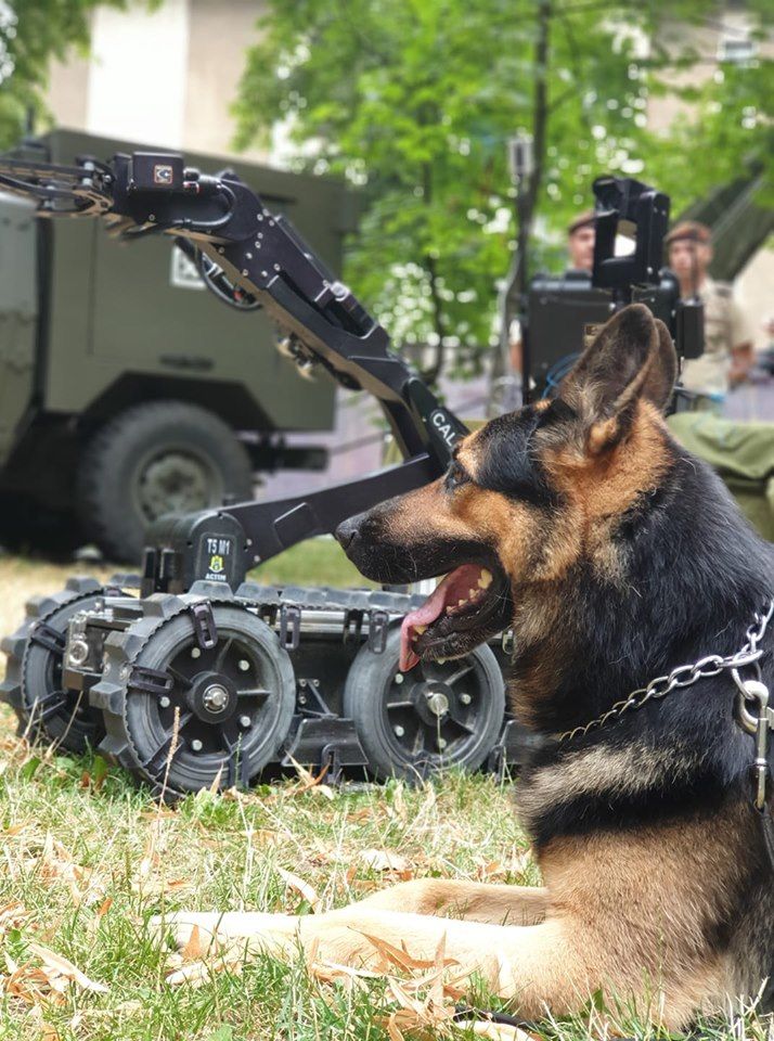 67428278_1423430294462883_5099971070669094912_n