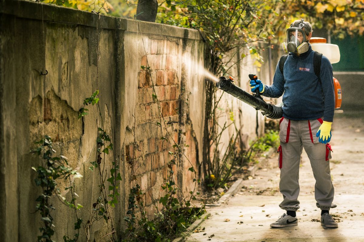 Sky Pictures © 2016