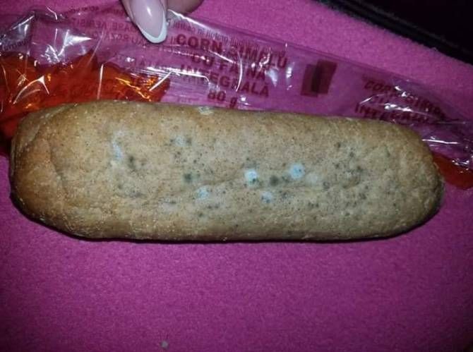 69997153_1664422487027858_1438269004220203008_n_62746100