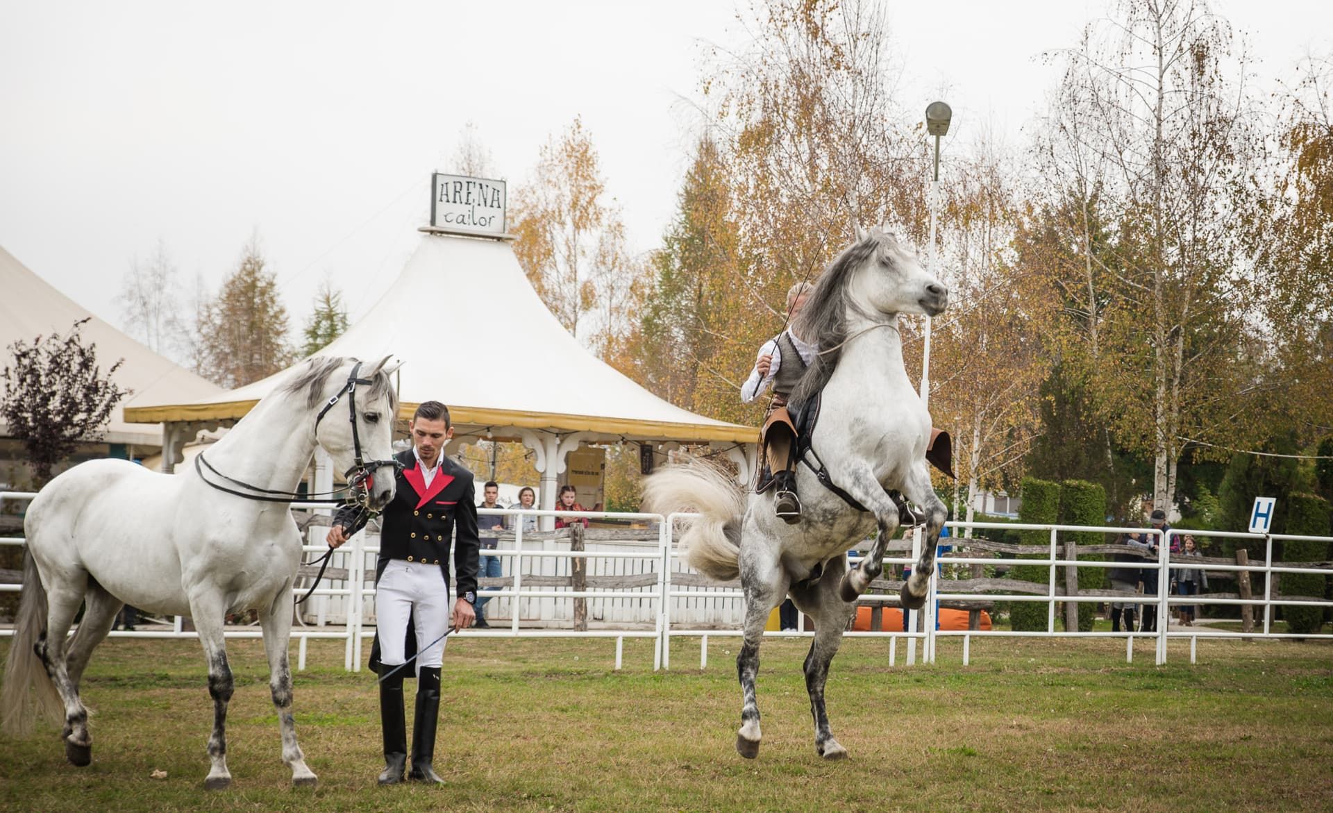 dracula-horse-festival-1