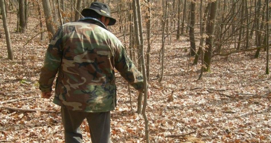 518e2bccf41ab8c397d97fcd69e81871