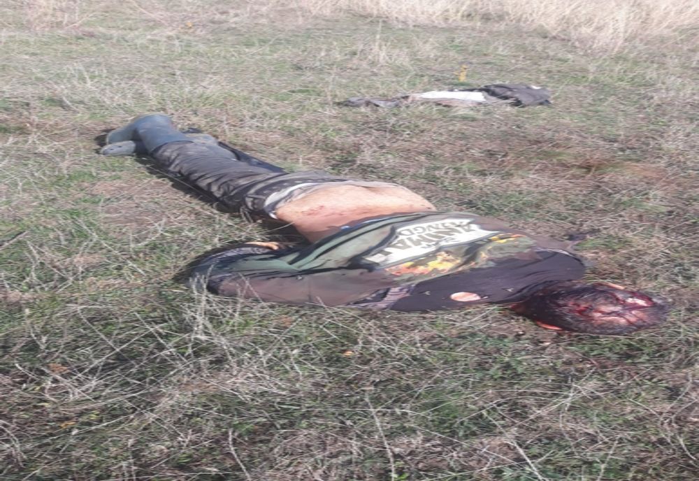 VIDEO EXCLUSIV: Mureșul, sub asediul urșilor. Al doilea atac mortal, în mai puțin de o lună