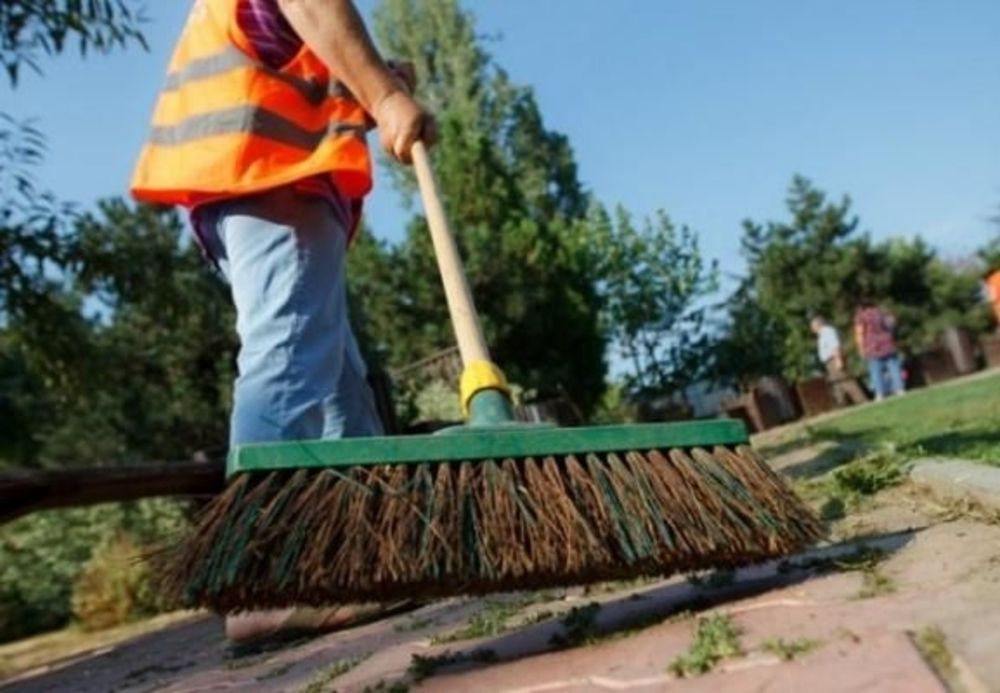 Reguli noi pentru curățenia de toamnă în Târgu Mureș. ATENȚIE la crengi și deșeuri din construcții