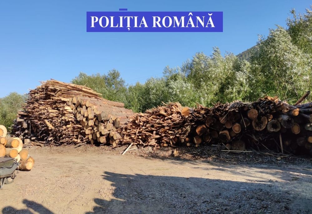Aproape 900 de metri cubi de material lemnos confiscat în urma celor 30 de percheziţii efectuate de poliţiştii din Mureş