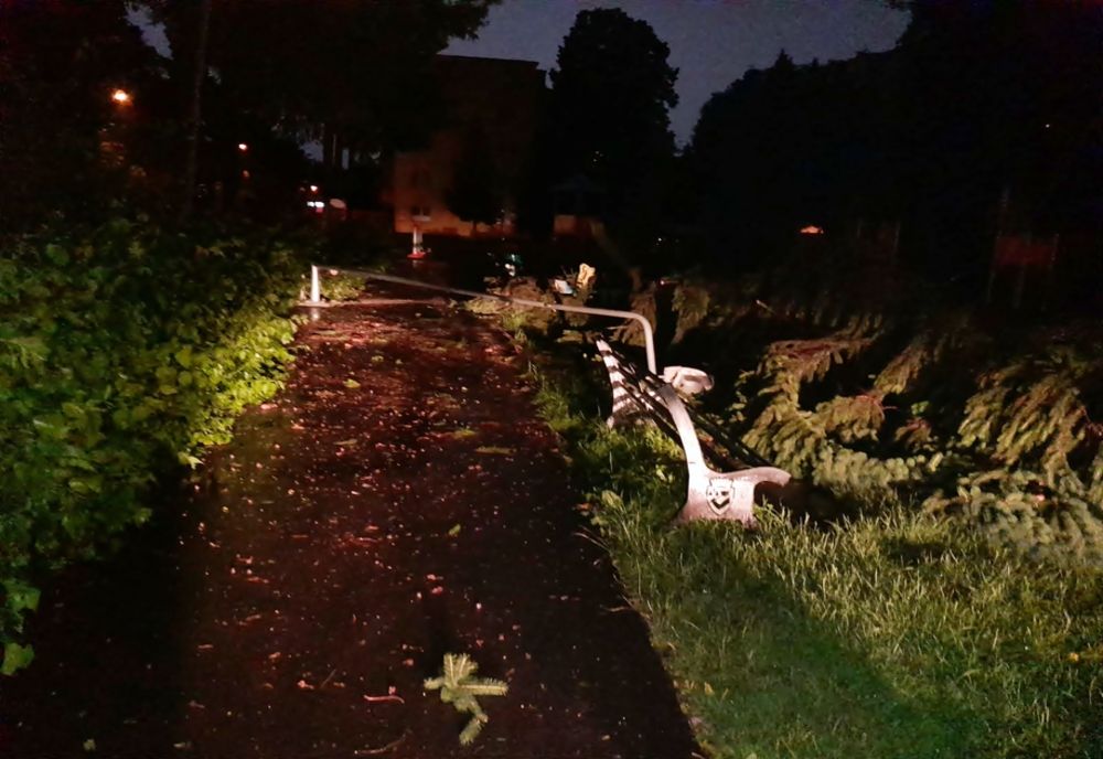 Zeci de copaci, puși la pământ de furtuna care s-a abătut azi noapte asupra județului Mureș! Peste 6.400 de gospodării din peste 30 de localități, afectate