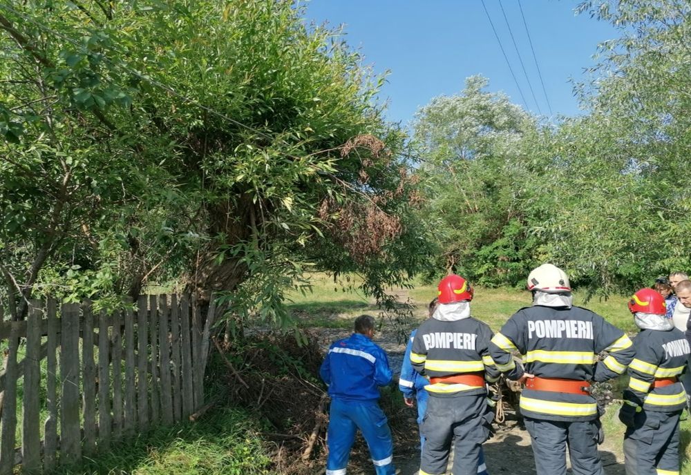 Două persoane electrocutate, în Idicel Sat, la spital! Doi cai au murit