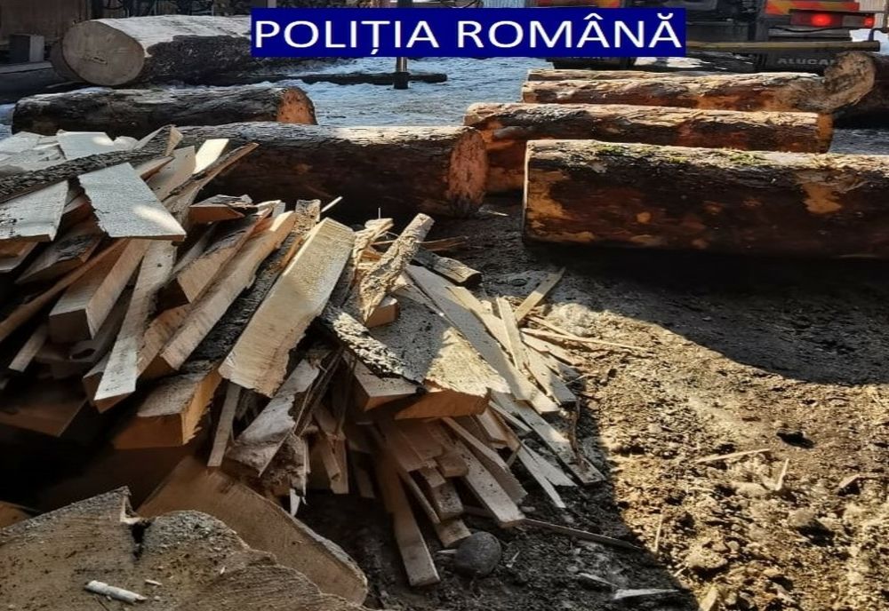 FOTO: Percheziții în Mureș, într-un dosar de tăiere ilegală de arbori! Peste 18 mc de lemn, confiscați