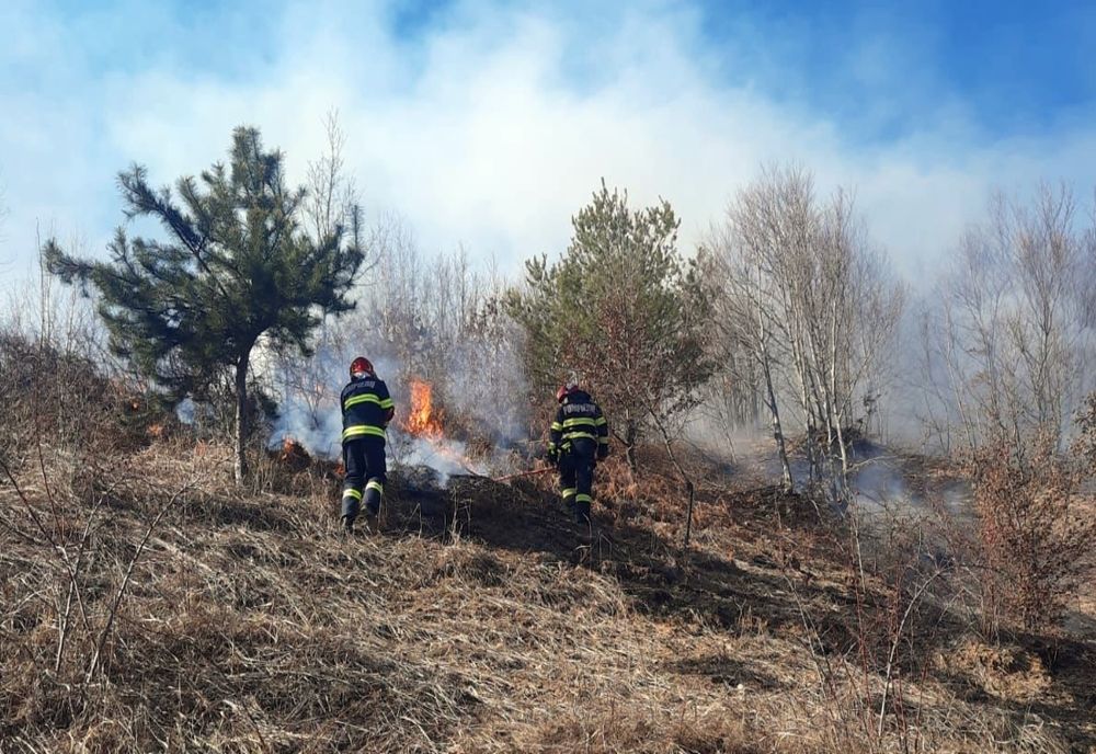 Peste 40 de incendii de vegetaţie, weekend-ul trecut, în judeţul Mureş