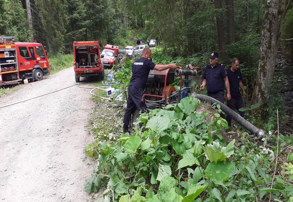 Pompierii au reuşit să stingă incendiul de pădure izbucnit acum două zile în Lunca Bradului (FOTO)