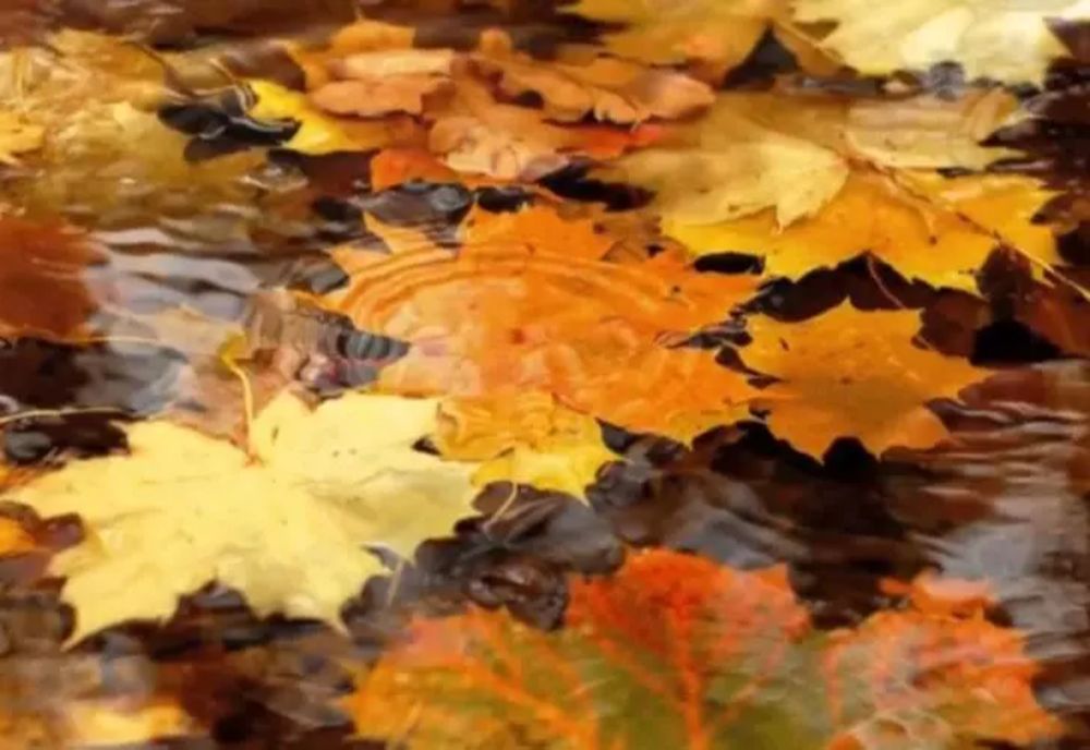 Vremea azi, 21 octombrie. Spre seară cresc șansele de ploi în majoritatea zonelor