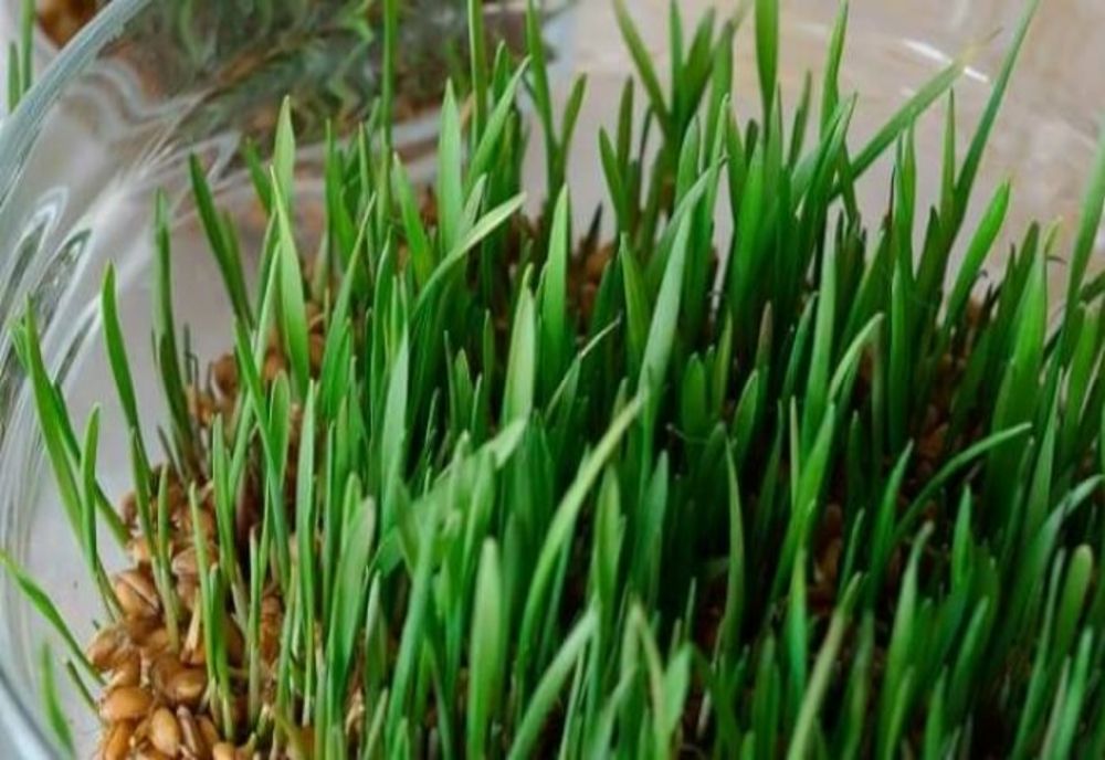 Aproape 950.000 de români își sărbătoresc, astăzi, onomastica