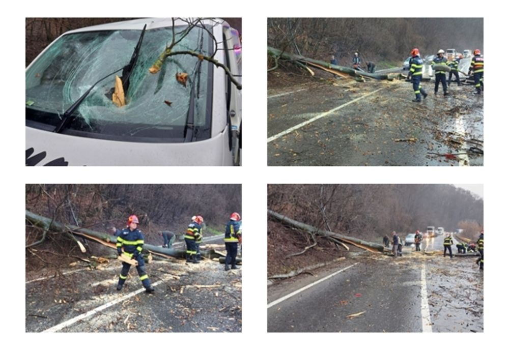 Copac căzut pe un autoturism, în Sighișoara! O persoană a fost rănită