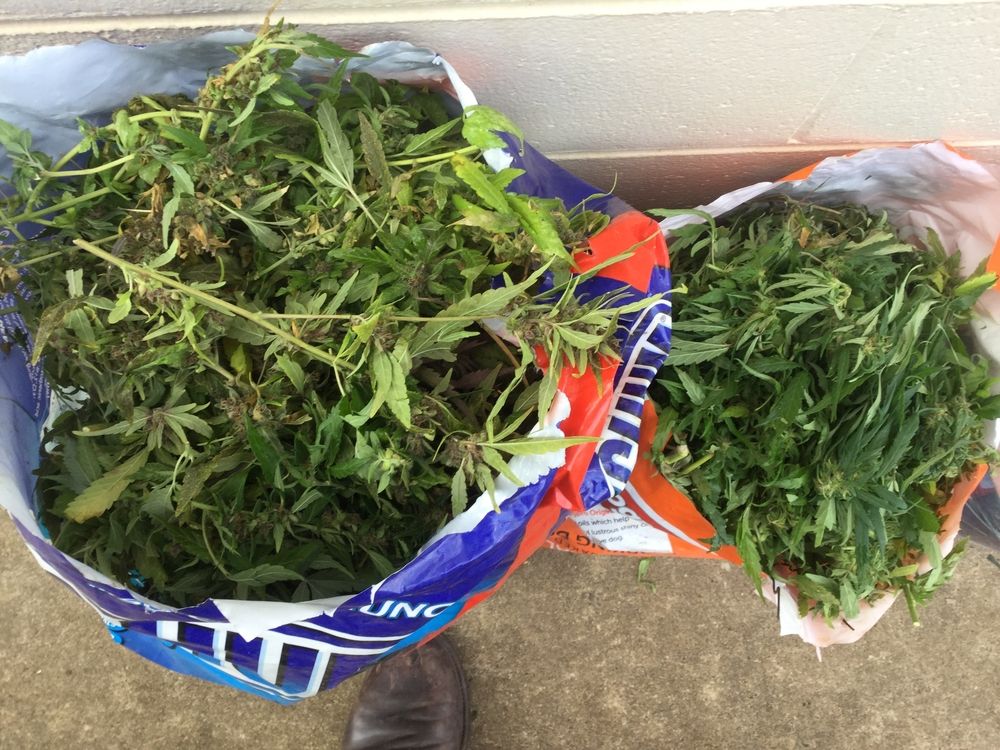 Colet cu droguri din Spania trimis la Târgu Mureş | O persoană a fost arestată