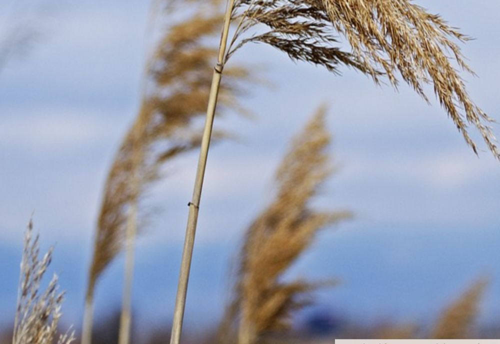 VREMEA 19 SEPTEMBRIE. TEMPERATURI ÎN CREȘTERE ÎN MAJORITATEA REGIUNILOR