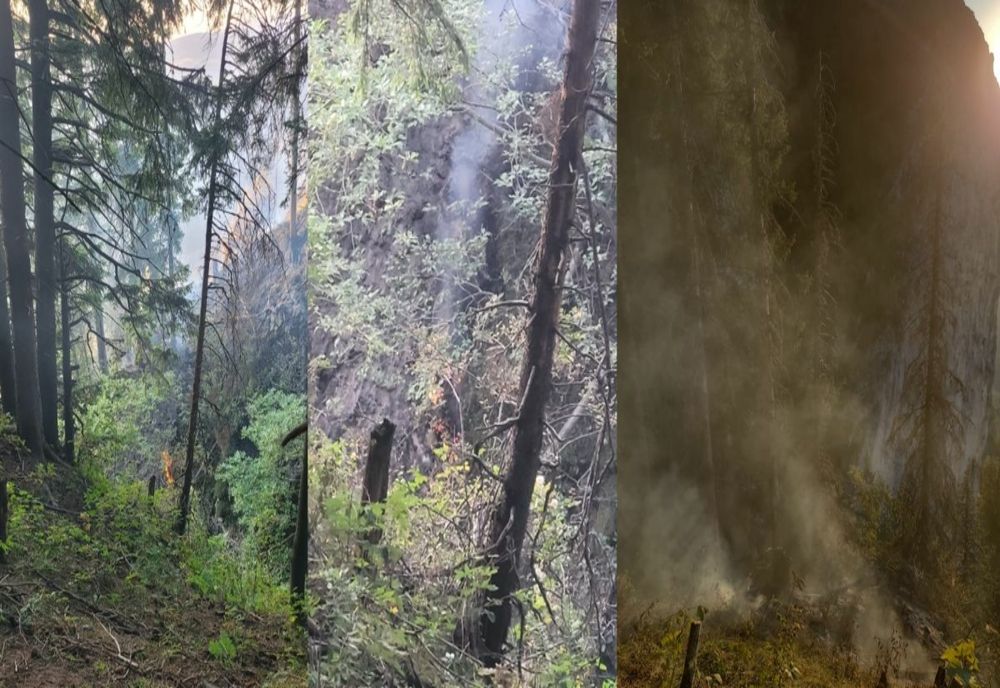 VIDEO INCENDIU DE FOND FORESTIER ÎN MASIVUL PIATRA MARE