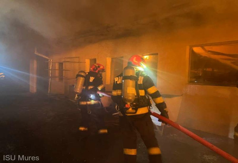 POMPIERI DIN TREI JUDEŢE AU INTERVENIT PENTRU STINGEREA UNEI HALE DE DEPOZITARE A MATERIALULUI LEMNOS