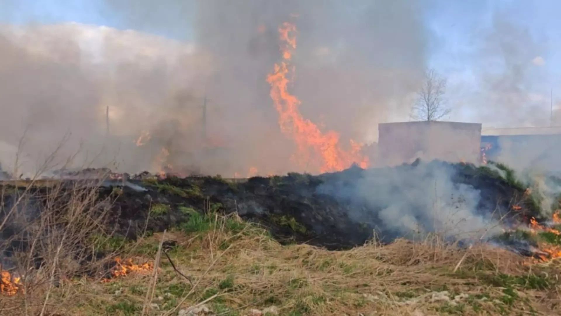 Incendiu masiv în județul Mureș. FOTO: ISU