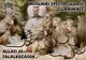 Pavianul cu mantie, vedetă la Tîrgu Mureș. Acesta nu este un pamflet
