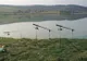 Duminică: Târgul Peștelui, la Zau