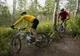 Caravana “Bicicleta” promovează Transilvania