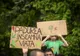 Județul Mureș, “campion” național la tăierile ilegale de arbori