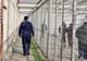 SIGHIȘOARA: Mandat de executare