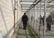 A fost adus sub escortă la Penitenciarul Târgu Mureș