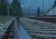 ACUM: Cal lovit de tren, între Cornești și Adămuș