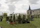 DESCHISĂ PÂNĂ LA ORA 19: Expoziția de flori și plante de la Universitatea Sapientia