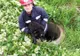 Un cățel căzut într-un canal a fost salvat de pompierii mureșeni
