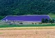 Lavanda, vedeta săptămânii în județul Mureș
