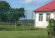 Un urs a ajuns în curtea școlii din Breaza