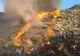 DUMINICĂ: Incendiu la groapa de gunoi din Sighișoara