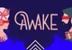 Aproape 50.000 de festivalieri sut așteptați la Awake, pe domeniul Teleki din Gornești