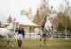 Dracula Horse Festival: eveniment unic, la Daneș!
