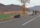 Noaptea minții! Veterinarul trimis să tranchilizeze ursul nu avea...tranchilizant!
