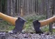 Doi mureșeni, REȚINUȚI pentru tăieri ilegale de arbori