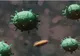 În Mureș rămân doar DOUĂ cazuri confirmate de coronavirus!