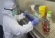 Datele oficiale din județul Mureș, în 1 aprilie, în criza coronavirus