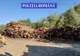 Aproape 900 de metri cubi de material lemnos confiscat în urma celor 30 de percheziţii efectuate de poliţiştii din Mureş