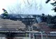 FOTO: Incendiu în localitatea mureșeană Albești! O femeie de 55 de ani a fost găsită carbonizată
