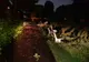 Zeci de copaci, puși la pământ de furtuna care s-a abătut azi noapte asupra județului Mureș! Peste 6.400 de gospodării din peste 30 de localități, afectate