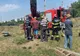 FOTO | Viţel căzut într-o fântână în Târgu Mureş! Pompierii au reuşit să îl salveze