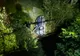 FOTO | Grav accident în judeţul Mureş! Cinci tineri de aproximativ 18 ani au căzut cu maşina într-o râpă de 6 metri