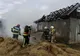 Acoperișul unei case din Sardu Nirajului, mistuit de flăcări