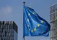 O nouă insectă poate fi folosită ca aliment în UE. Comisia Europeană a autorizat-o pentru consum