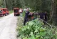 Pompierii au reuşit să stingă incendiul de pădure izbucnit acum două zile în Lunca Bradului (FOTO)