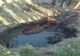 Cal salvat după ce a căzut într-o groapă cu nămol (FOTO)