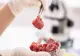 Alertă alimentară în magazinele românești: E-Coli și stafilococ auriu, în carnea de pui și de porc