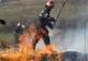 NUMĂRUL INCENDIILOR DE VEGETAȚIE A CRESCUT CU APROAPE 90% ÎN 2024